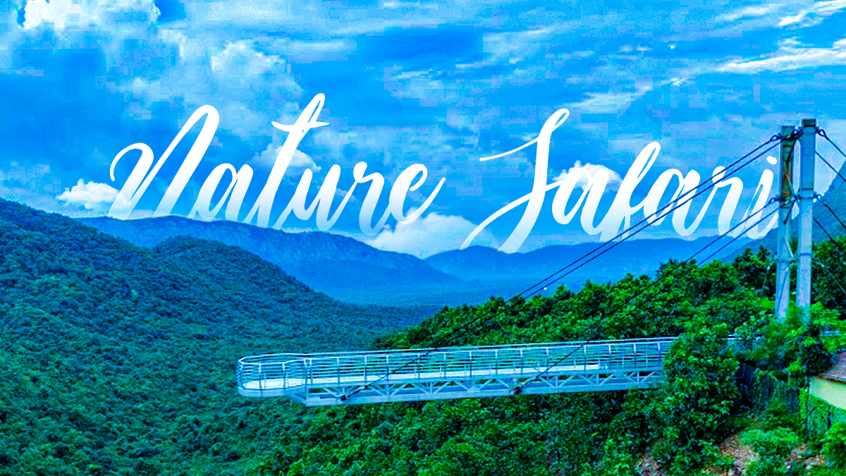 Nature Safari Package